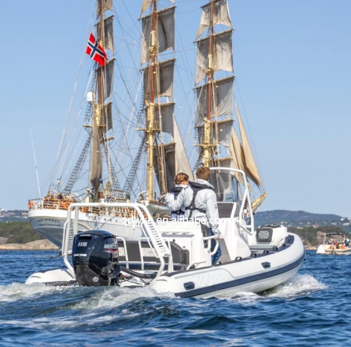MSCE Certificado Estilo Deport - Fishing Boat Fiberglass reseña y precio